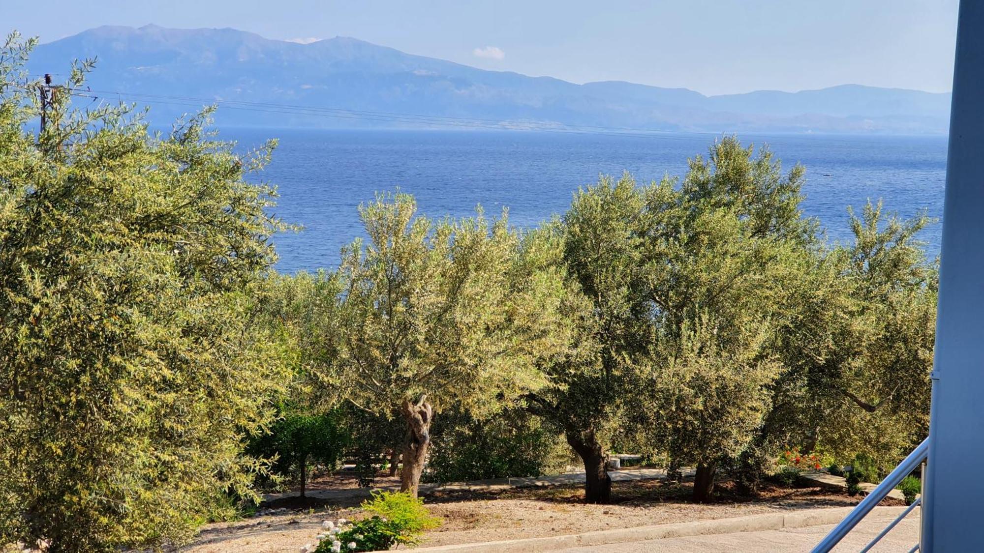 Assos Nazan Motel Restoran Beach Sokakagzi Cameră foto