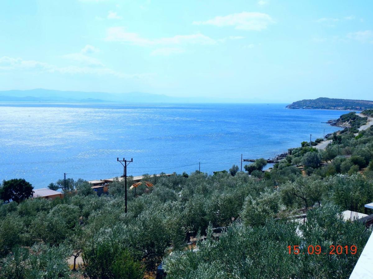 Assos Nazan Motel Restoran Beach Sokakagzi Exterior foto